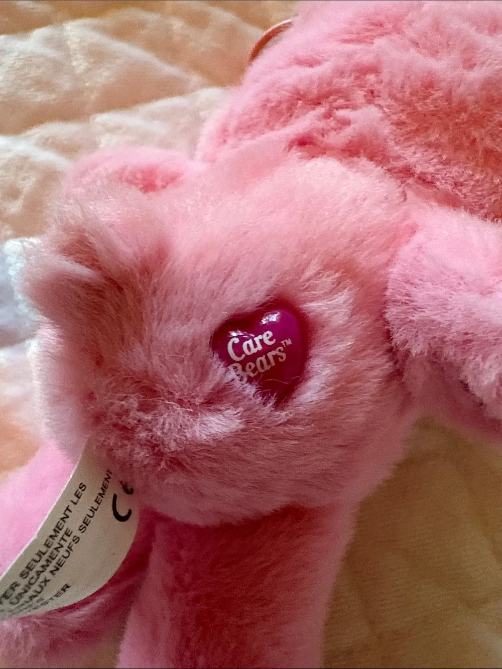 Care Bears two care